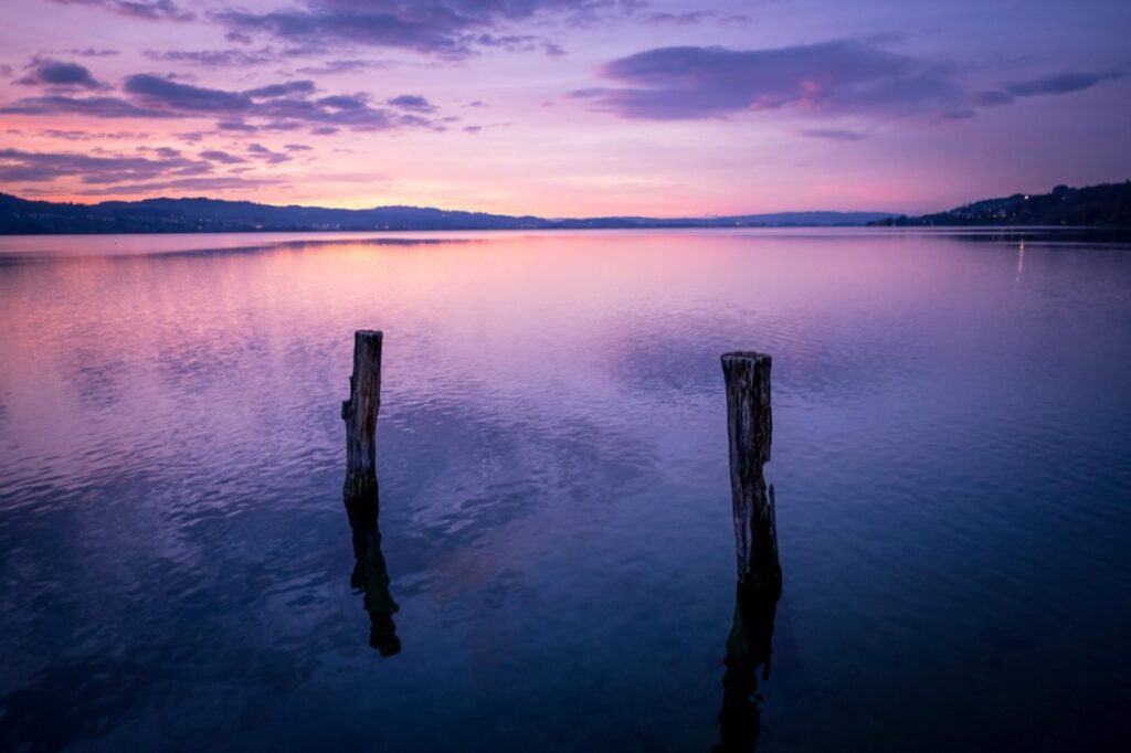 Działka przy Szlaku stoi przed wieloma wyzwaniami konserwacyjnymi zarówno ze strony naturalnej jak i kulturalnej